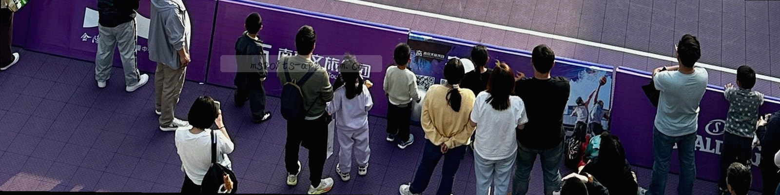 由细线与节点构成的抽象数据纹理，示意公开数据与账号记录之间的流向